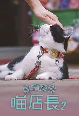 《他和她的喵店长2粤语》：萌化少女心，这‘季后赛’般的爱情太绝了！